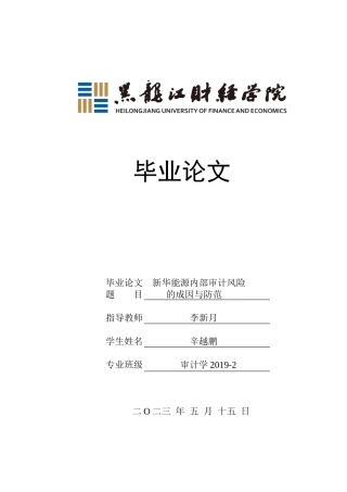 23年WP审计学-新华能源内部审计风险的成因与防范-2019512645-辛越鹏.doc