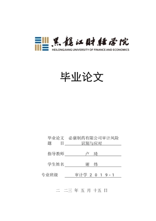 23年WP审计学-必康制药有限公司审计风险识别与应对-2019512291-谢炜.docx