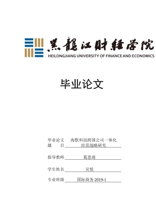 23年WP国际商务-海默科技跨国公司一体化经营战略研究-2019510738-吴悦.doc
