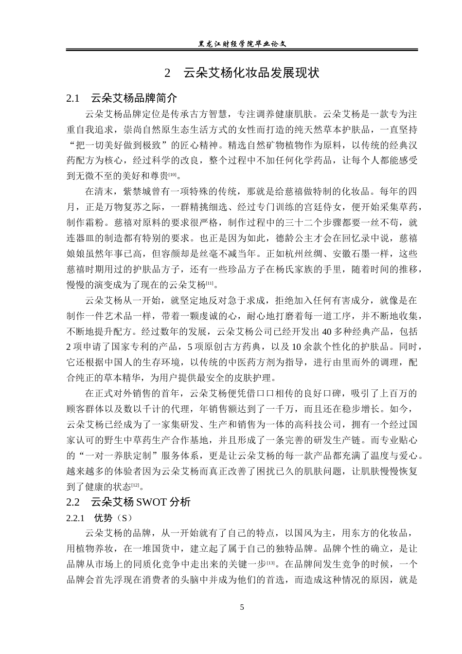 23年WP电子商务-云朵艾杨化妆品网络营销策略分析-2019510481-潘莹.docx_第10页