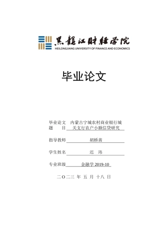 23年WP金融学-内蒙古宁城农村商业银行城关支行农户小额信贷研究-2019510388-迟玮.docx