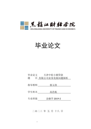 23年WP金融学-天津中轮小额贷款有限公司业务发展问题探析-2019510703-高浩航.docx