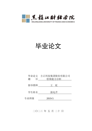 23年WP会计学-方正科技集团股份有限公司偿债能力分析-2019510925-郭电芹.docx
