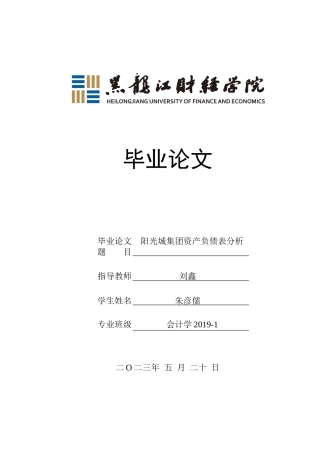23年WP会计学-阳光城集团资产负债表分析-2019510977-朱彦儒.docx