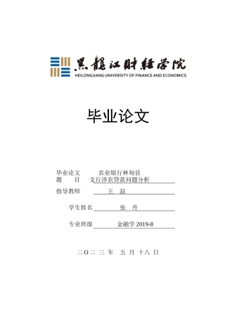23年WP金融学-农业银行林甸县支行涉农贷款问题分析-2019512855-张丹.docx