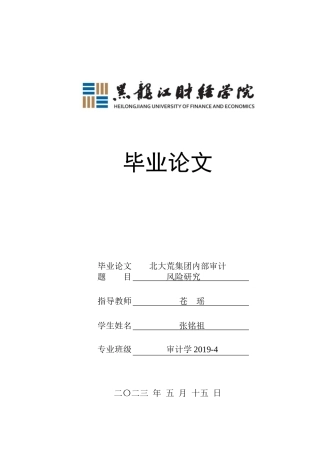 23年WP审计学-北大荒集团内部审计风险研究-2019513095-张铭祖.docx
