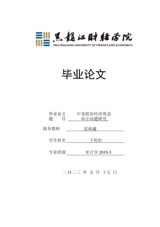 23年WP审计学-中宠股份经济效益审计问题研究-2019512746-于籽轩.docx