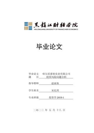 23年WP投资学-哈尔滨嘉铂实业有限公司投资风险问题分析-2019511395-宋民玥.doc