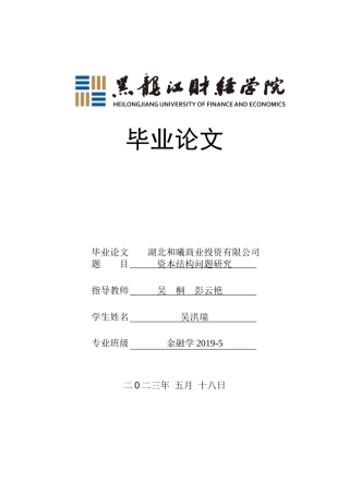23年WP金融学-湖北和曦商业投资有限公司资本结构问题研究-2019510928-吴洪瑞.doc