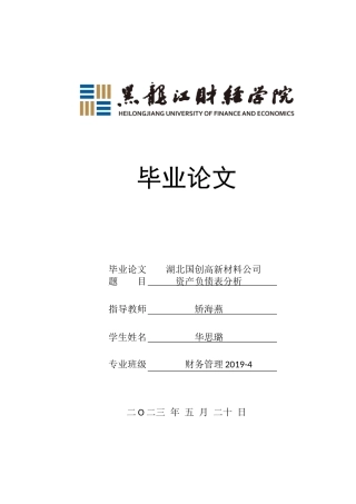 23年WP财务管理-湖北国创高新材料资产负债表分析-2019512219-华思璐.doc