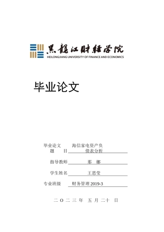 23年WP财务管理-海信家电资产负债表分析-2019512927-王思莹.docx