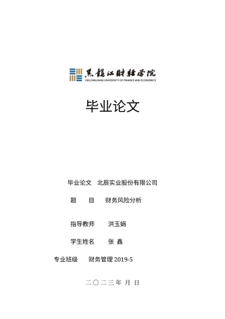 23年WP财务管理-北辰实业公司财务风险分析-2019511479-张鑫.docx