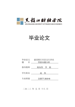23年WP金融学-建设银行宾县支行涉农贷款问题分析-2019512265-赵伟.docx