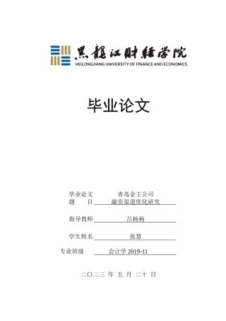 23年WP会计学-青岛金王公司融资渠道优化分析-2021520028-张慧.docx