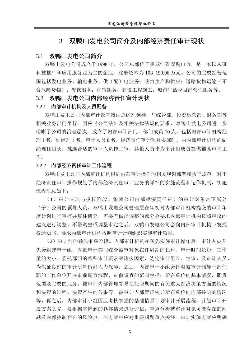23年WP审计学-双鸭山发电公司内部经济责任审计问题研究-2019510789-李亮.docx_第10页