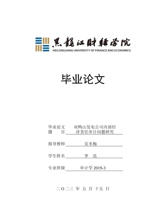 23年WP审计学-双鸭山发电公司内部经济责任审计问题研究-2019510789-李亮.docx
