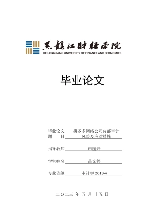 23年WP审计学-拼多多网络公司内部审计风险及应对措施-2019512651-吕文婷.docx