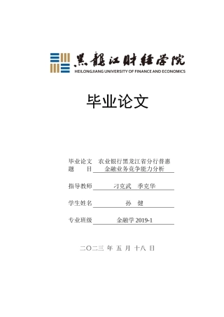 23年WP金融学-农业银行黑龙江省分行普惠金融业务竞争能力分析-2019512660-孙健.docx