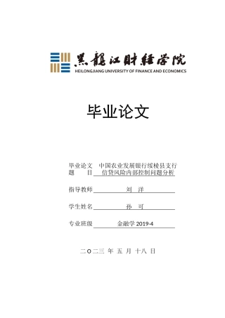 23年WP金融学-中国农业发展银行绥棱县支行信贷风险内部控制分析-2019512938-孙可.docx