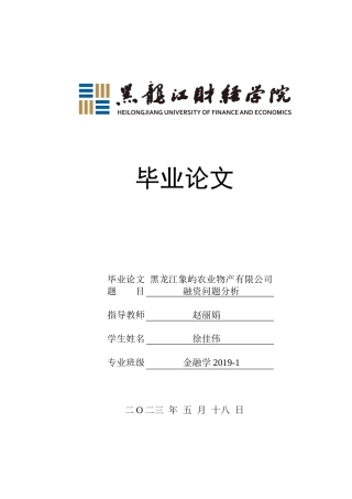 23年WP金融学-黑龙江象屿农业物产有限公司融资问题分析-2019511945-徐佳伟.docx