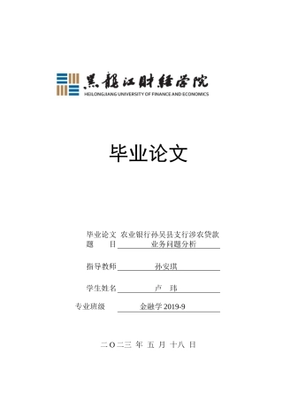 23年WP金融学-农业银行孙吴县支行涉农贷款业务问题分析-2019512320-卢玮.docx