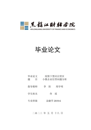 23年WP金融学-疫情下黑河自贸区小微企业信贷问题分析-2019512157-佟瑶.docx