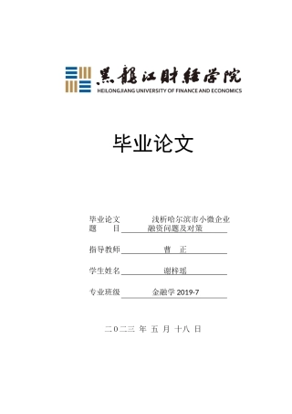 23年WP金融学-浅析哈尔滨市小微企业融资问题及对策-2019513152-谢梓瑶.docx