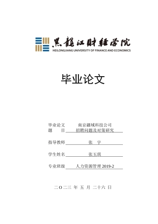 23年WP人力资源管理-南京疆域科技公司招聘问题及对策研究-2019512301-张玉琪.docx