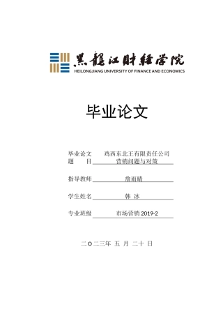 23年WP市场营销-鸡西东北王酒业有限责任公司营销问题与对策-2019513008-韩冰.docx