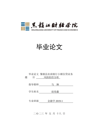 23年WP金融学-肇源县农商银行小额信贷业务风险防控分析-2019511367-赵迎鑫.docx