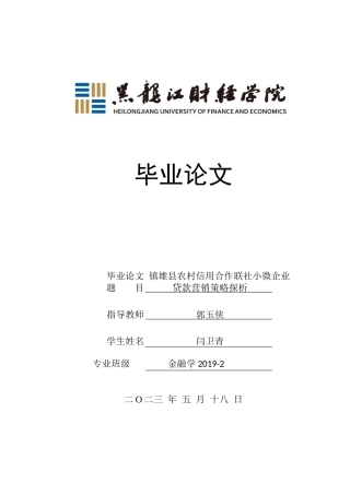 23年WP金融学-镇雄县农村信用合作联社小微企业贷款营销策略探析-2019510760-闫卫青.docx