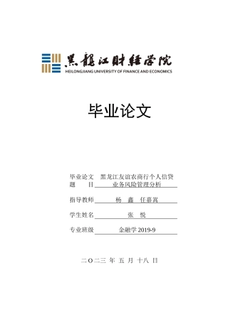 23年WP金融学-黑龙江友谊农商行个人信贷业务风险管理分析-2019511806-张悦.docx