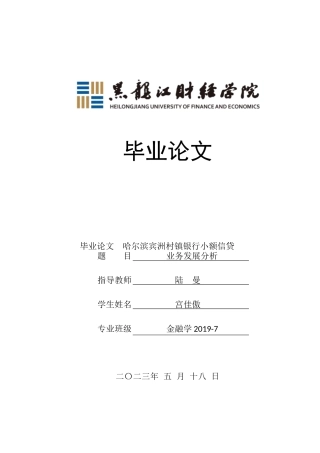 23年WP金融学-哈尔滨宾洲村镇银行小额信贷业务发展分析-2019512410-宫佳傲.docx
