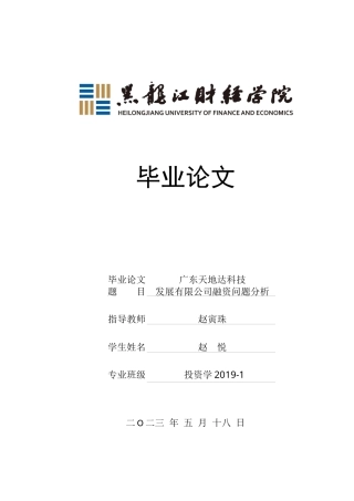 23年WP投资学-广东天地达科技发展有限公司融资问题分析-2019511450-赵悦.docx
