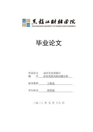 23年WP金融学-讷河市农商银行股份有限公司涉农贷款风险问题分析-2019512923-邵智超.docx
