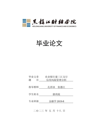 23年WP金融学-农业银行建三江支行信用风险管理分析-2019511772-廖鸿锐.docx