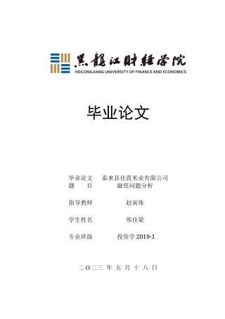23年WP投资学-泰来县佳莨米业有限公司融资问题分析-2019511601-邢佳梁.docx