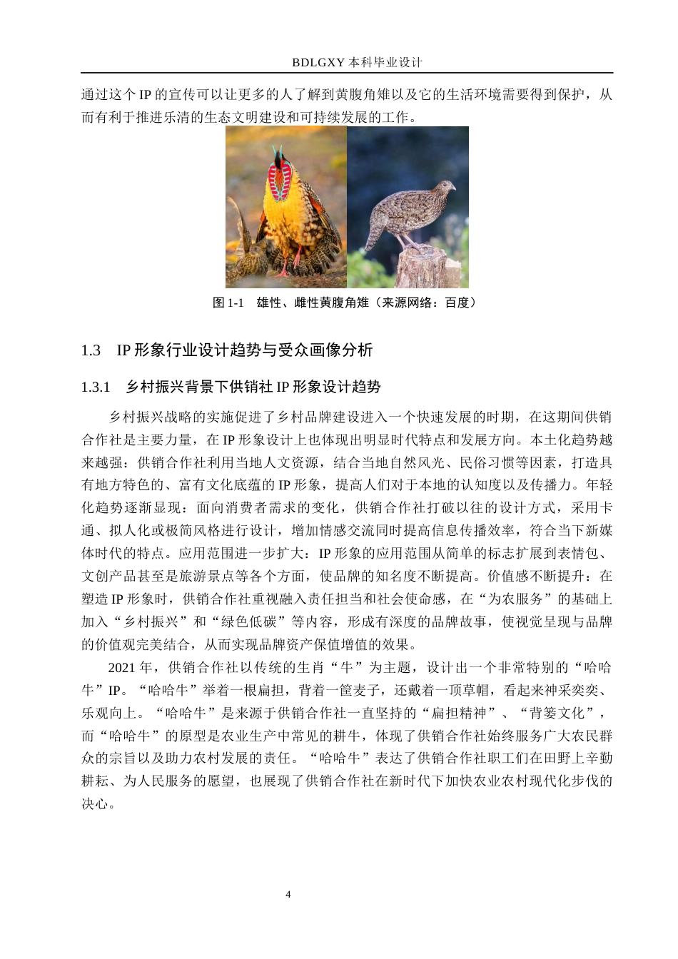 26年WH视觉传达设计 “清雉和鸣”乐清供销社IP形象设计0.49-AI14.83(16544字).docx_第10页