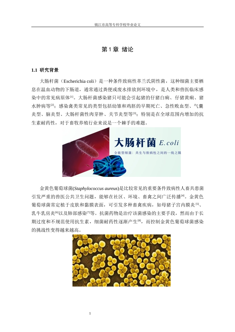 26年药学药剂学 桑黄素联合不同抗菌药物的体外抗菌活性研究(终)-约12243字符.docx_第4页