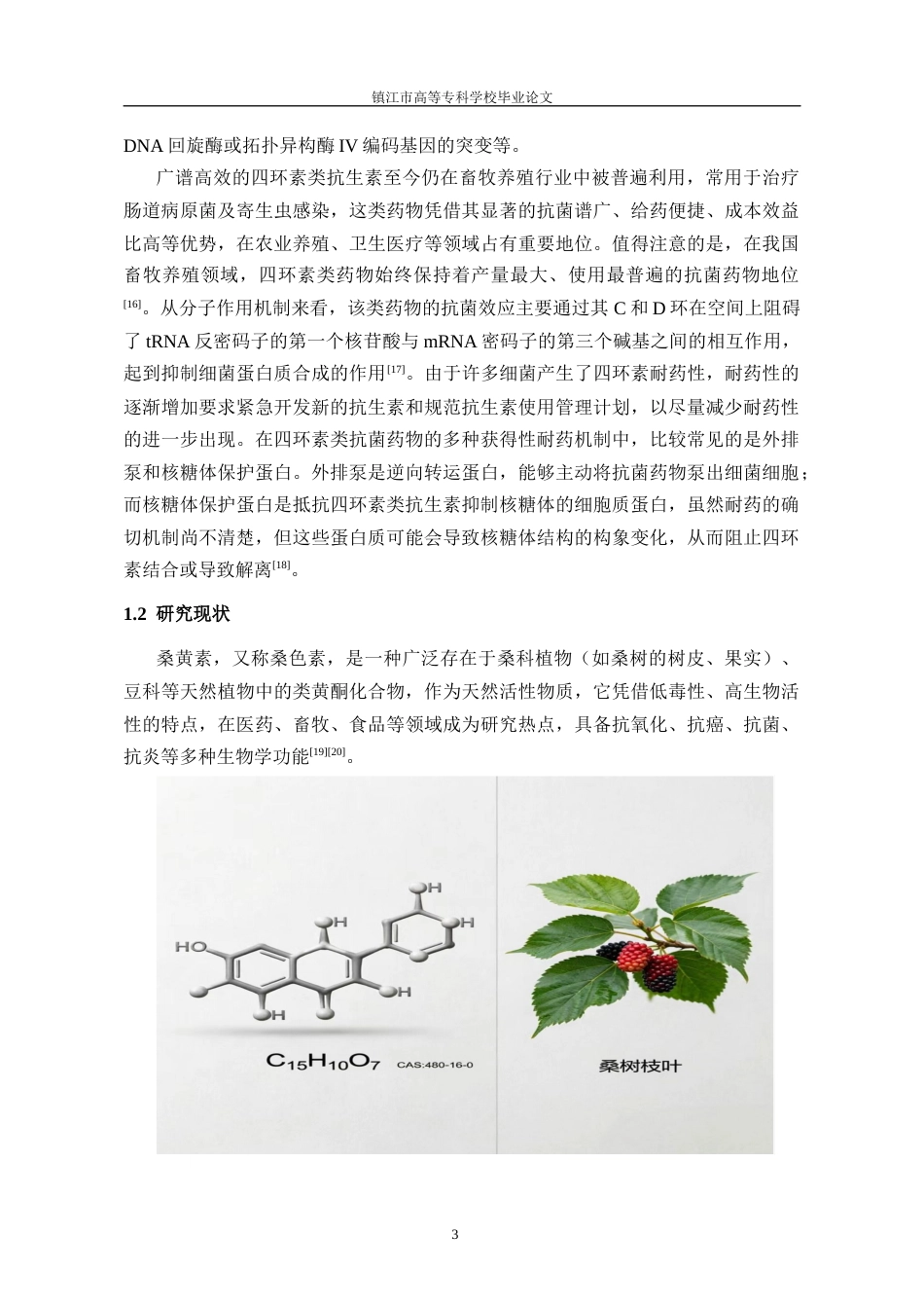 26年药学药剂学 桑黄素联合不同抗菌药物的体外抗菌活性研究(终)-约12243字符.docx_第6页