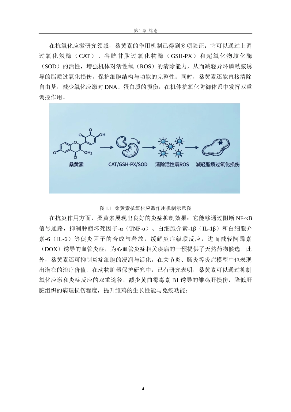 26年药学药剂学 桑黄素联合不同抗菌药物的体外抗菌活性研究(终)-约12243字符.docx_第7页