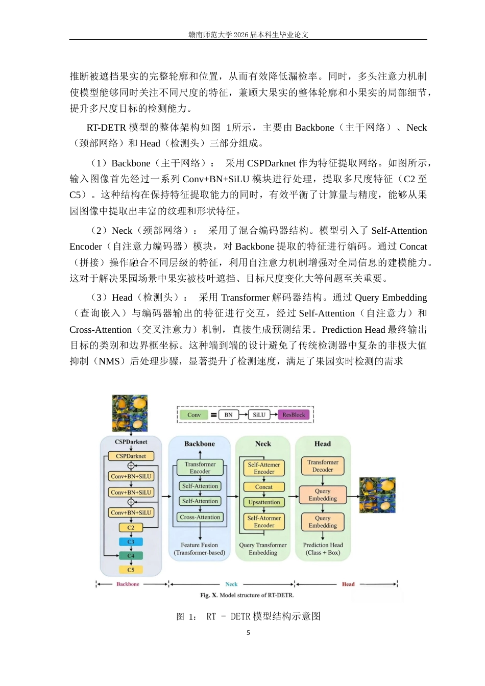 26年智慧农业 基于RT-DETR深度学习模型的赣南脐橙果园果实目标个数方法终-约10617字符.docx_第7页