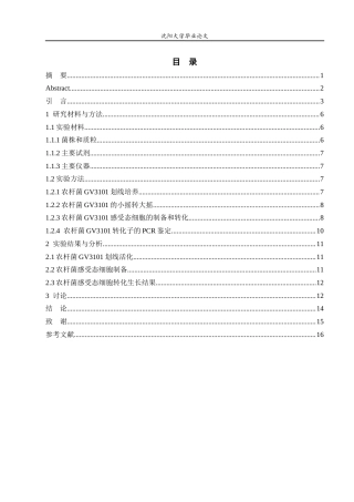 26年生物科学（师范）农杆菌GV3101感受态细胞的制备与转化 关键词：农杆菌GV3101；感受态细胞；转化效率；植物基因工程终稿-约13030字符.docx