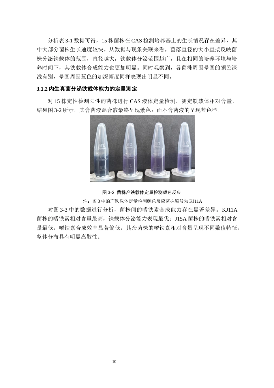 26年WH药学 槲蕨内生真菌铁载体产生能力和解磷活性初步研究16.96-AI17.1-约11443字符.docx_第10页