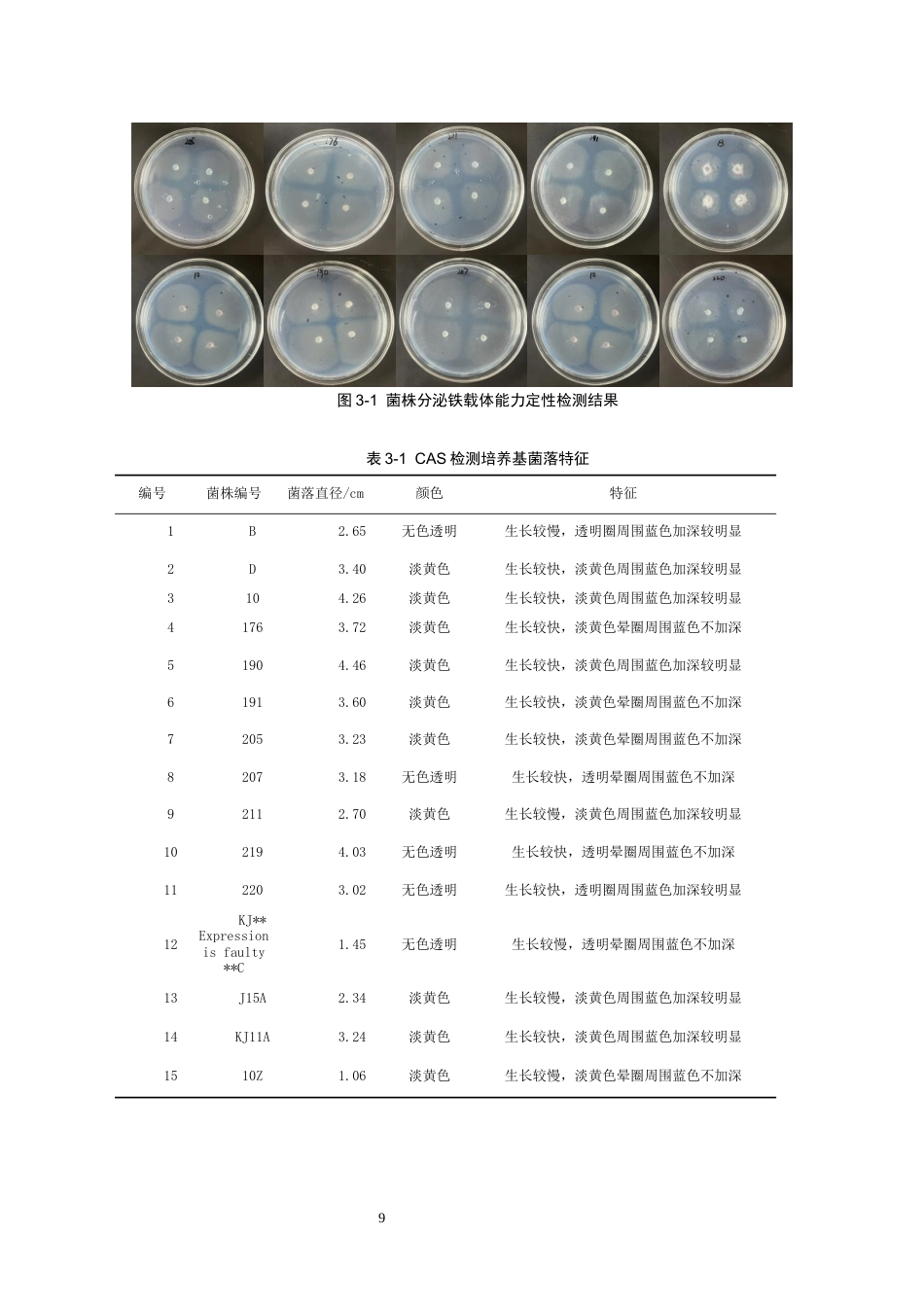 26年WH药学 槲蕨内生真菌铁载体产生能力和解磷活性初步研究16.96-AI17.1-约11443字符.docx_第9页