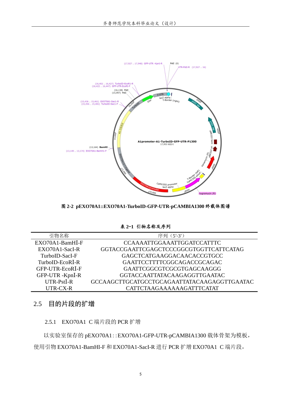 26年WH生物科学本科 囊泡运输亚基AtEXO70A1-TurboID表达载体的构建15.63-AI27.2-约15206字符.doc_第9页