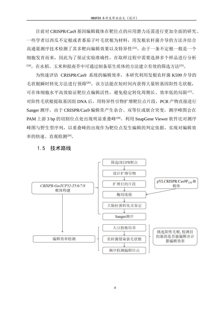 26年WH生物科学 大豆TCP基因CRISPR载体的构建及编辑效率的检测13.45-AI8.2-约16721字符.docx_第9页