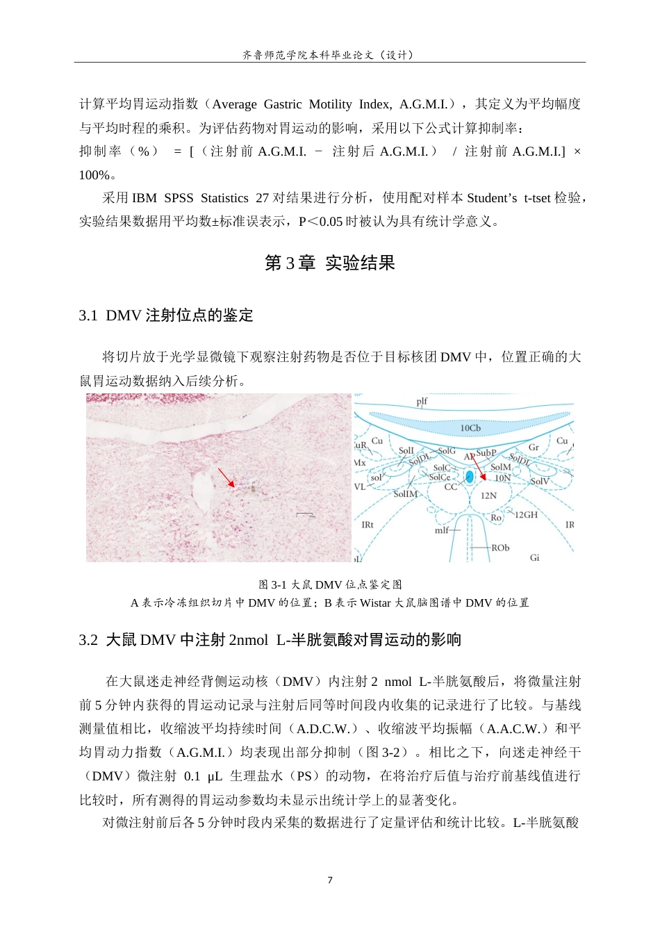 26年WH生物科学本科 大鼠迷走神经背核中内源性 H2S 调控胃运动的 PKA 路径研究14.18-AI-约13549字符.doc_第10页
