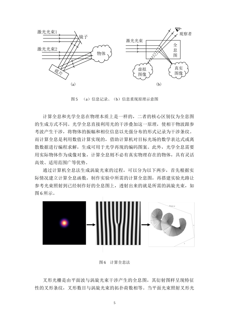 26年WH物理学(应用型) 叉形光栅产生涡旋光束的数值模拟与衍射特性分析11.91-AI15.03-约16558字符.docx_第8页