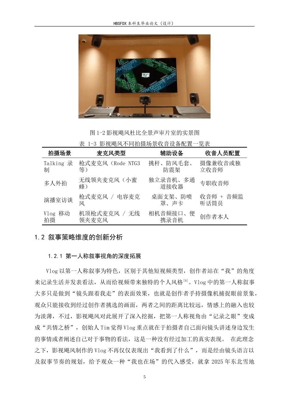 26年WH广播电视编导 Vlog 影像创新实践与启示——基于“影视飓风”系列作品分析2.03-AI4.57-约17767字符.doc_第8页